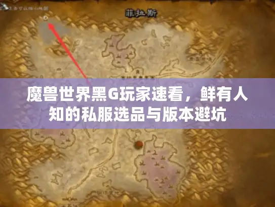 魔兽世界黑G玩家速看，鲜有人知的私服选品与版本避坑