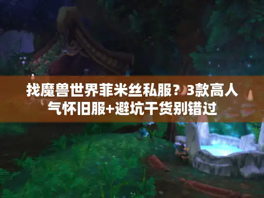 找魔兽世界菲米丝私服？3款高人气怀旧服+避坑干货别错过