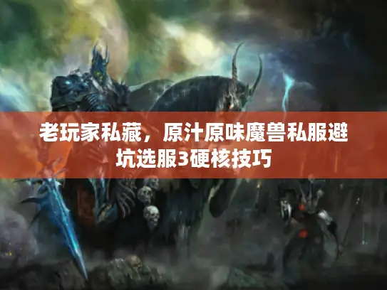 老玩家私藏，原汁原味魔兽私服避坑选服3硬核技巧