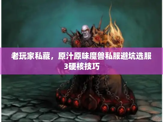 老玩家私藏，原汁原味魔兽私服避坑选服3硬核技巧