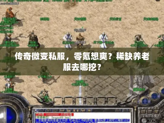 传奇微变私服，零氪想爽？稀缺养老服去哪挖？