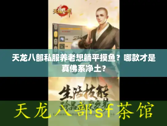 天龙八部私服养老想躺平摸鱼？哪款才是真佛系净土？