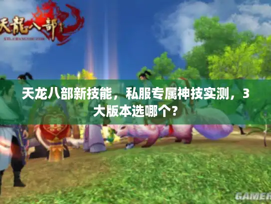 天龙八部新技能，私服专属神技实测，3大版本选哪个？
