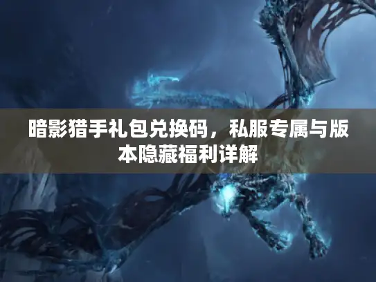 暗影猎手礼包兑换码，私服专属与版本隐藏福利详解