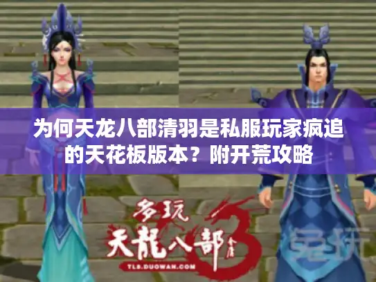 为何天龙八部清羽是私服玩家疯追的天花板版本？附开荒攻略