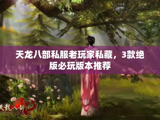 天龙八部私服老玩家私藏，3款绝版必玩版本推荐