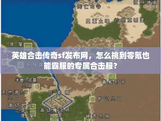 英雄合击传奇sf发布网，怎么挑到零氪也能霸服的专属合击服？