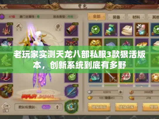 老玩家实测天龙八部私服3款狠活版本，创新系统到底有多野