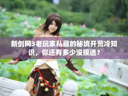 新剑网3老玩家私藏的秘境开荒冷知识，你还有多少没摸透？