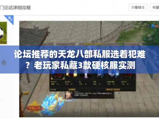论坛推荐的天龙八部私服选着犯难？老玩家私藏3款硬核服实测