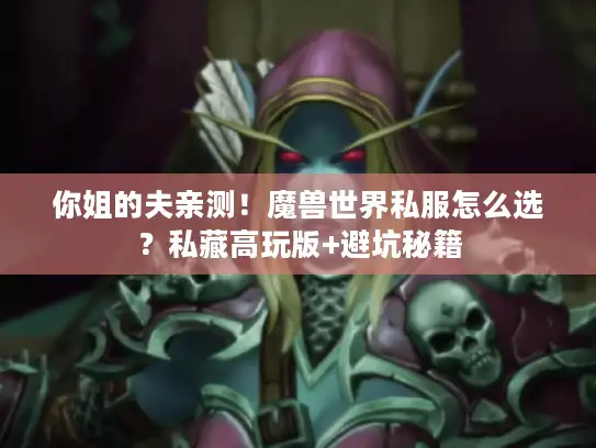 你姐的夫亲测！魔兽世界私服怎么选？私藏高玩版+避坑秘籍