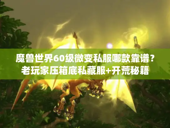 魔兽世界60级微变私服哪款靠谱？老玩家压箱底私藏服+开荒秘籍