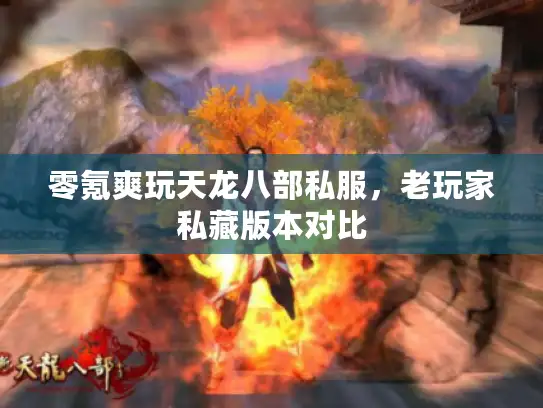 零氪爽玩天龙八部私服，老玩家私藏版本对比