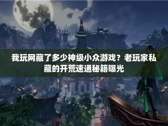 我玩网藏了多少神级小众游戏？老玩家私藏的开荒速通秘籍曝光