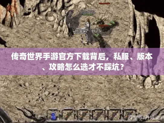 传奇世界手游官方下载背后，私服、版本、攻略怎么选才不踩坑？
