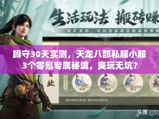 蹲守30天实测，天龙八部私服小服3个零氪专属秘境，爽玩无坑？