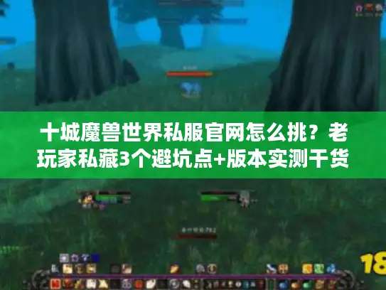 十城魔兽世界私服官网怎么挑？老玩家私藏3个避坑点+版本实测干货