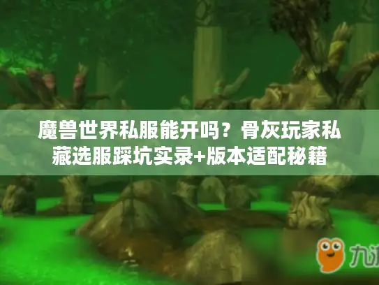 魔兽世界私服能开吗？骨灰玩家私藏选服踩坑实录+版本适配秘籍