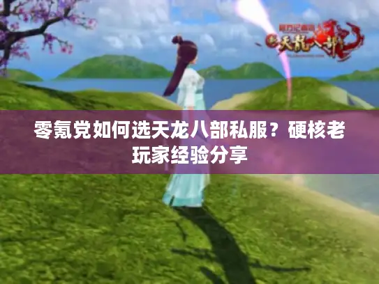 零氪党如何选天龙八部私服？硬核老玩家经验分享