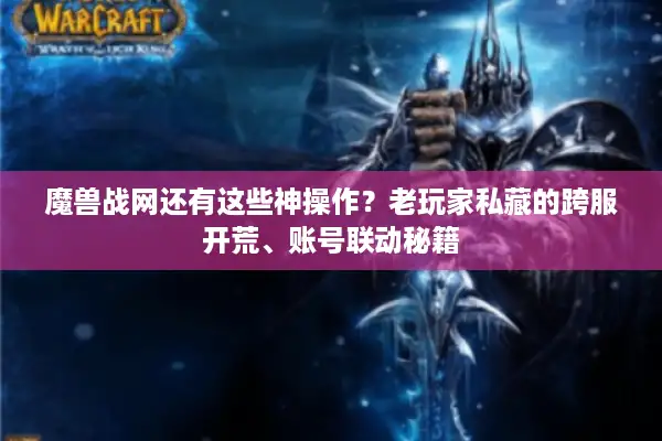 魔兽战网还有这些神操作？老玩家私藏的跨服开荒、账号联动秘籍