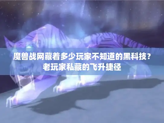 魔兽战网藏着多少玩家不知道的黑科技？老玩家私藏的飞升捷径