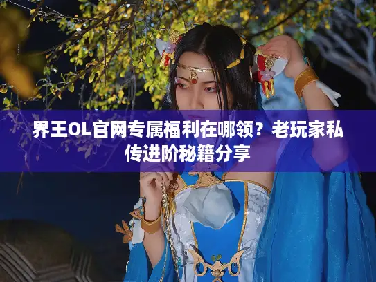 界王OL官网专属福利在哪领？老玩家私传进阶秘籍分享