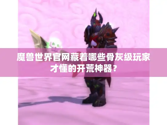 魔兽世界官网藏着哪些骨灰级玩家才懂的开荒神器？