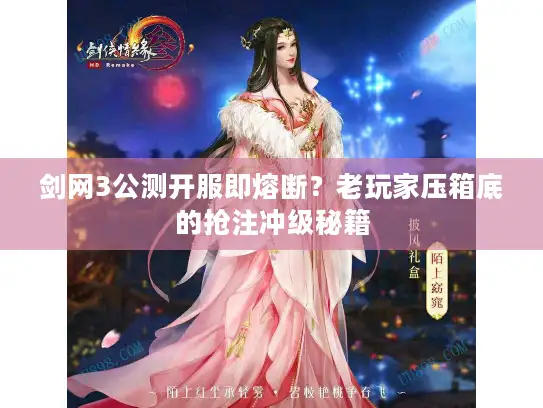 剑网3公测开服即熔断？老玩家压箱底的抢注冲级秘籍