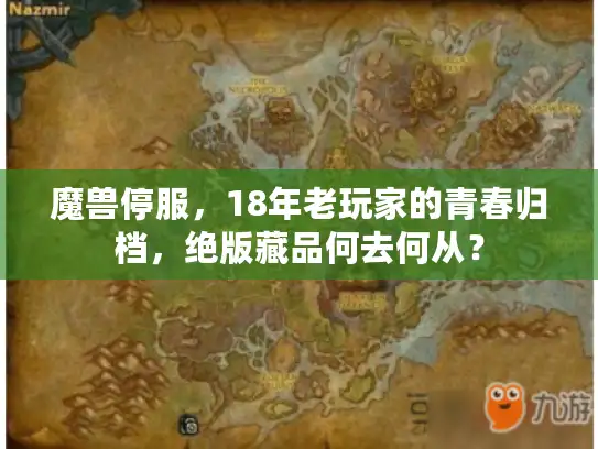 魔兽停服，18年老玩家的青春归档，绝版藏品何去何从？