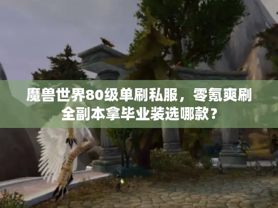 魔兽世界80级单刷私服，零氪爽刷全副本拿毕业装选哪款？