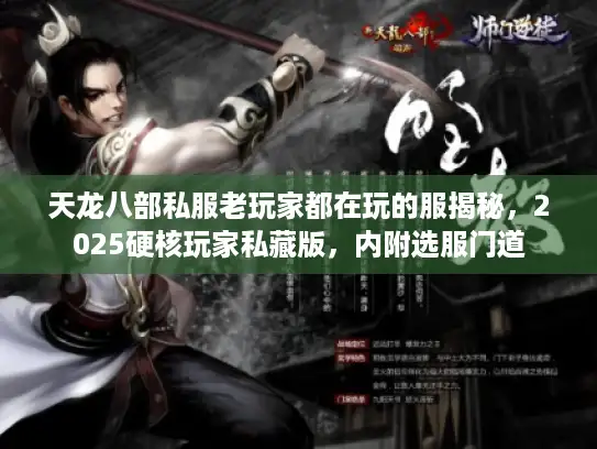 天龙八部私服老玩家都在玩的服揭秘，2025硬核玩家私藏版，内附选服门道
