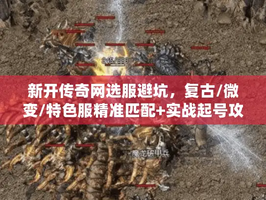 新开传奇网选服避坑，复古/微变/特色服精准匹配+实战起号攻略
