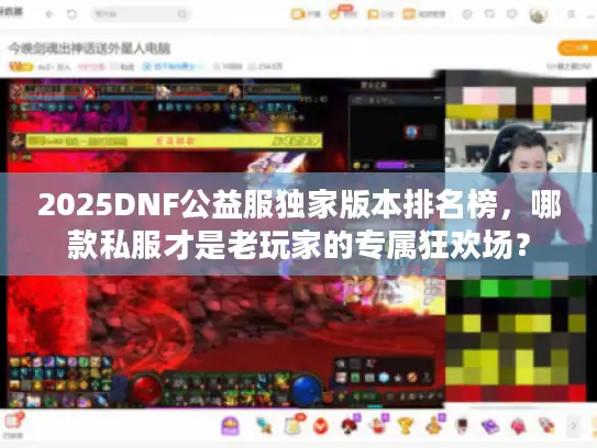 2025DNF公益服独家版本排名榜，哪款私服才是老玩家的专属狂欢场？