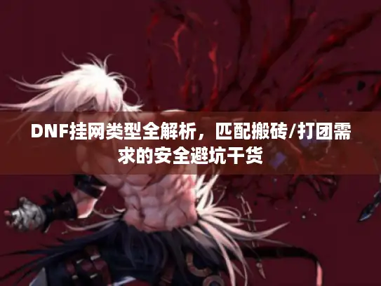 DNF挂网类型全解析，匹配搬砖/打团需求的安全避坑干货
