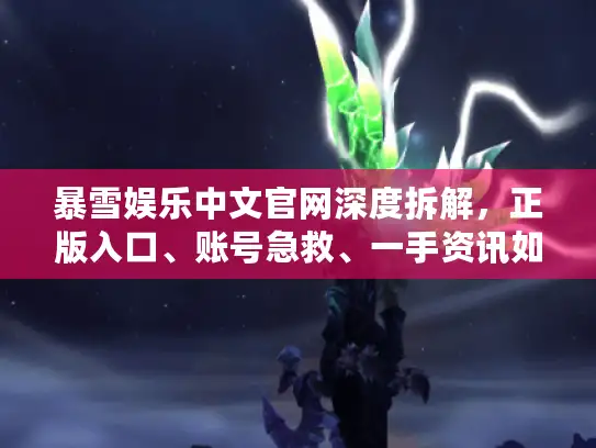暴雪娱乐中文官网深度拆解，正版入口、账号急救、一手资讯如何精准获取？
