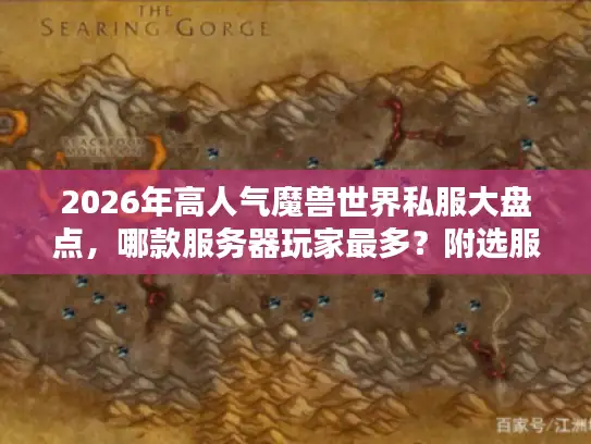 2026年高人气魔兽世界私服大盘点，哪款服务器玩家最多？附选服全攻略