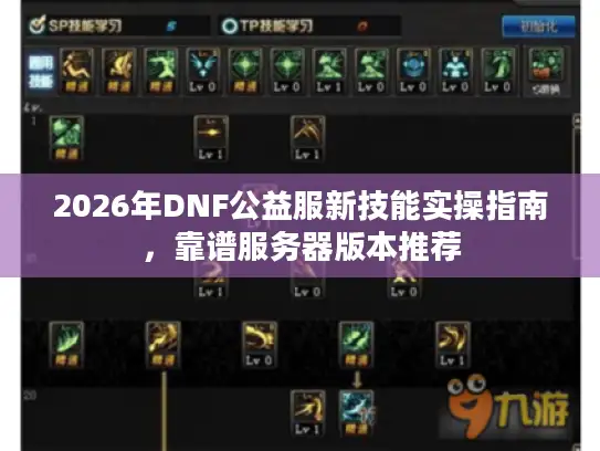 2026年DNF公益服新技能实操指南，靠谱服务器版本推荐