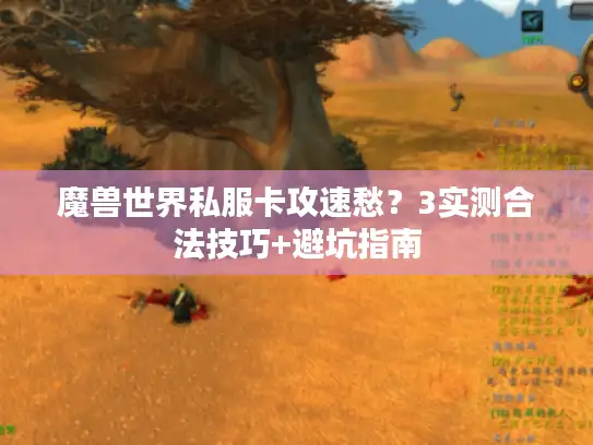 魔兽世界私服卡攻速愁？3实测合法技巧+避坑指南