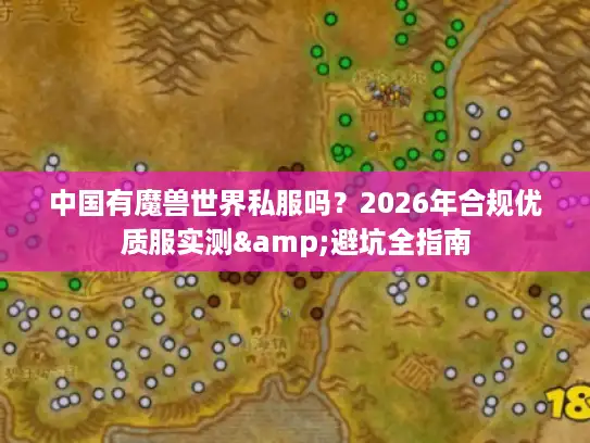 中国有魔兽世界私服吗？2026年合规优质服实测&避坑全指南