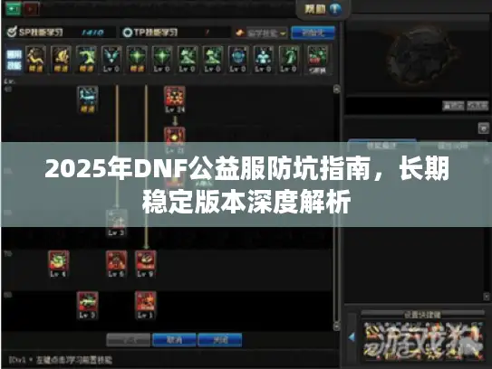 2025年DNF公益服防坑指南，长期稳定版本深度解析