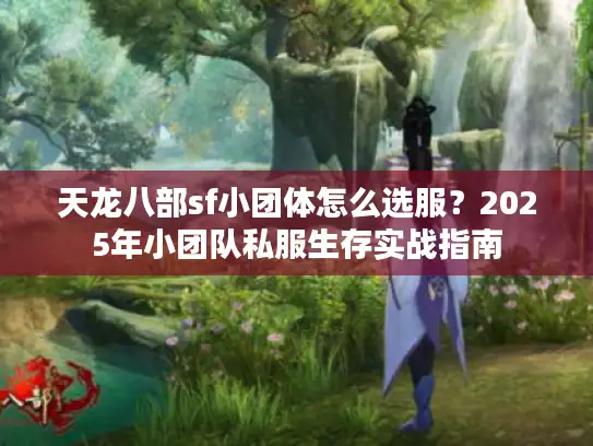 天龙八部sf小团体怎么选服？2025年小团队私服生存实战指南