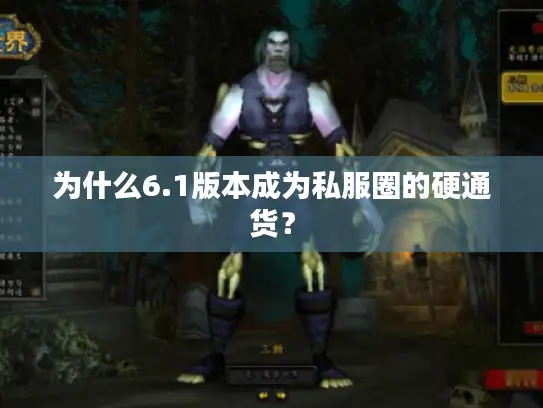 为什么6.1版本成为私服圈的硬通货？