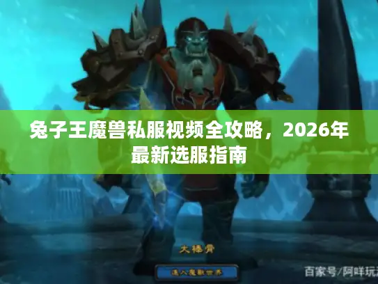 兔子王魔兽私服视频全攻略，2026年最新选服指南