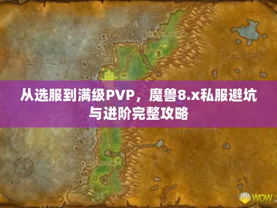 从选服到满级PVP，魔兽8.x私服避坑与进阶完整攻略