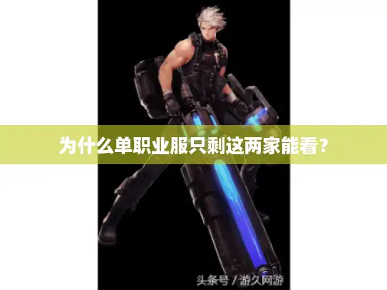 为什么单职业服只剩这两家能看？
