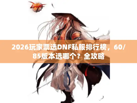2026玩家票选DNF私服排行榜，60/85版本选哪个？全攻略