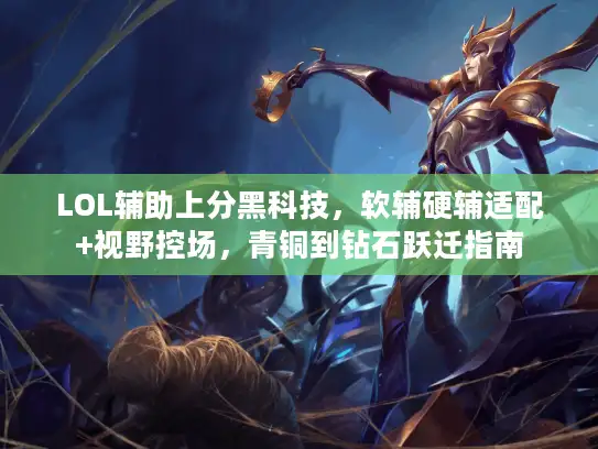 LOL辅助上分黑科技，软辅硬辅适配+视野控场，青铜到钻石跃迁指南