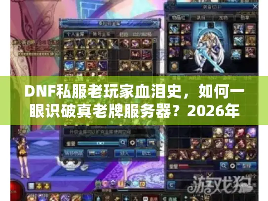 DNF私服老玩家血泪史，如何一眼识破真老牌服务器？2026年生存指南