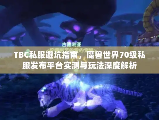 TBC私服避坑指南，魔兽世界70级私服发布平台实测与玩法深度解析
