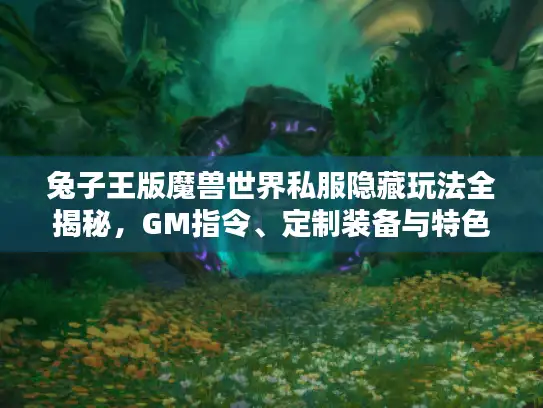 兔子王版魔兽世界私服隐藏玩法全揭秘，GM指令、定制装备与特色副本